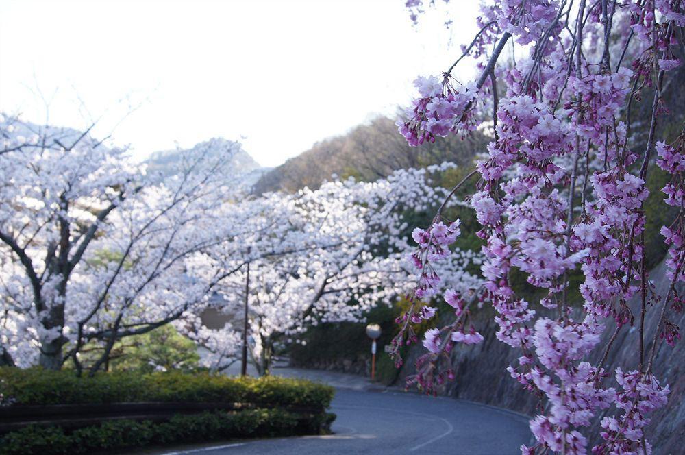 Ginsuisou Choraku